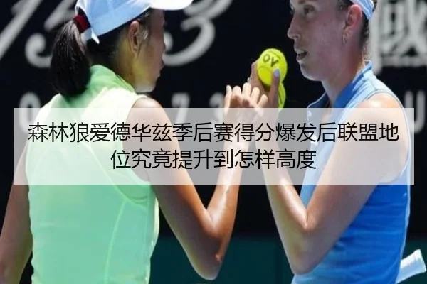 森林狼爱德华兹季后赛得分爆发后联盟地位究竟提升到怎样高度